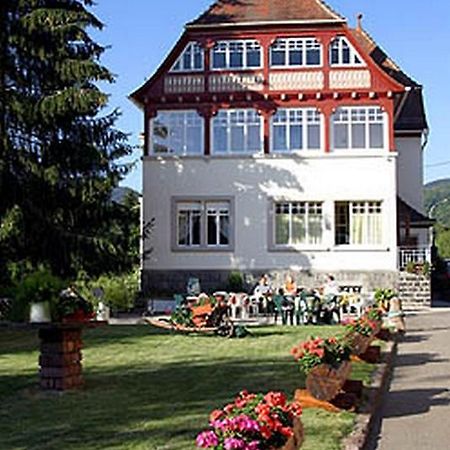 Villa Du Sendenbach Muhlbach-sur-Munster Kültér fotó