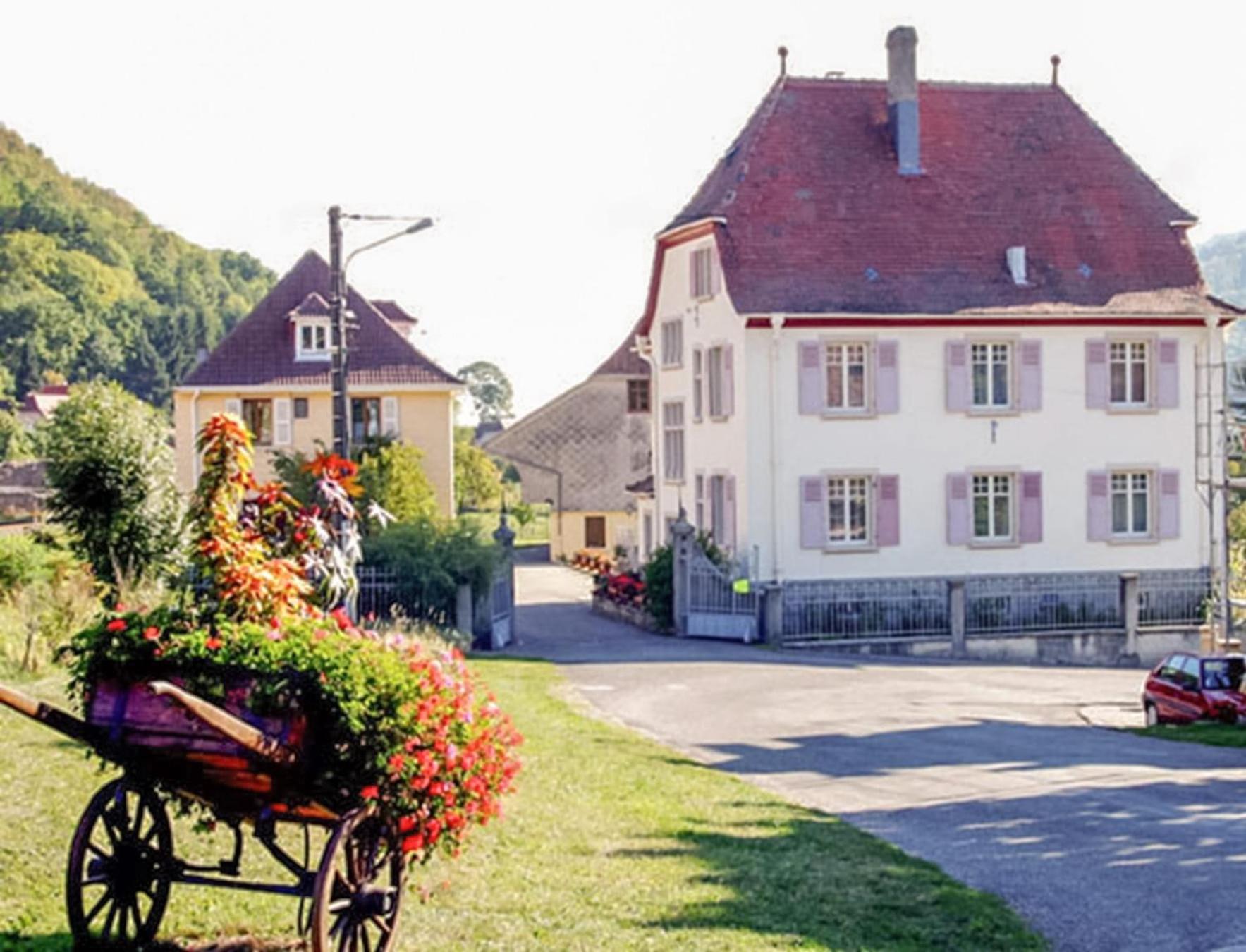 Villa Du Sendenbach Muhlbach-sur-Munster Kültér fotó