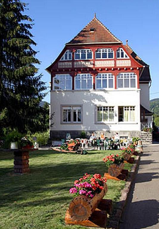 Villa Du Sendenbach Muhlbach-sur-Munster Kültér fotó