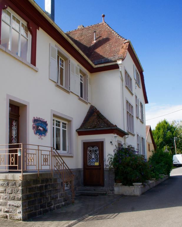 Villa Du Sendenbach Muhlbach-sur-Munster Kültér fotó